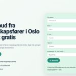 regnskaposlo