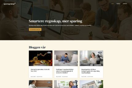 sparregnskap